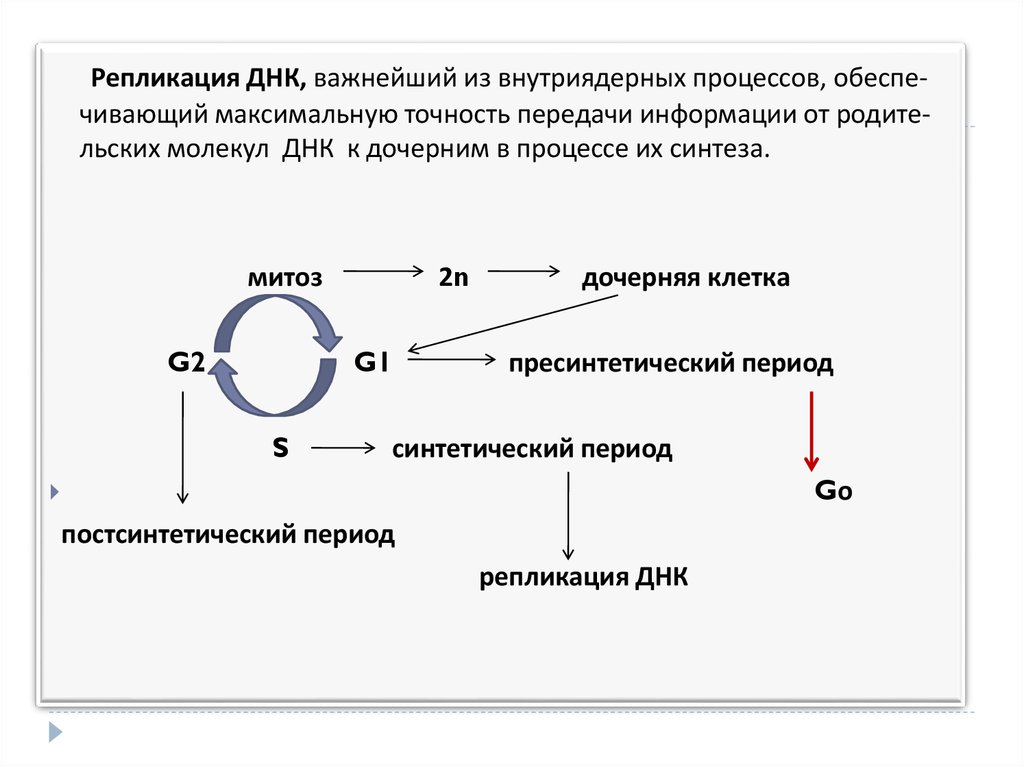 Синтетический период процессы