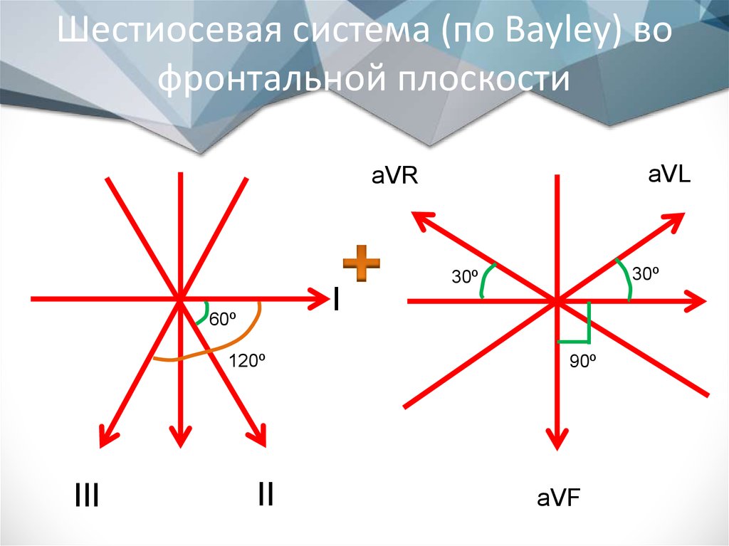 Шестиосевая система (по Bayley) во фронтальной плоскости