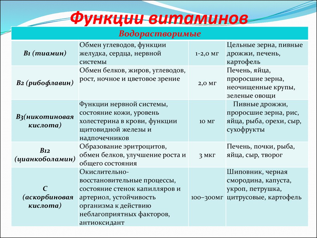 Какие водорастворимые витамины вам известны каковы функции