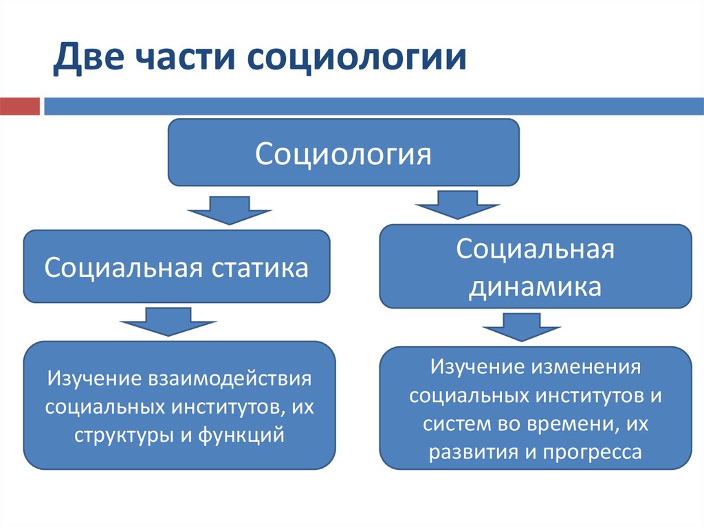 Социальная динамика план