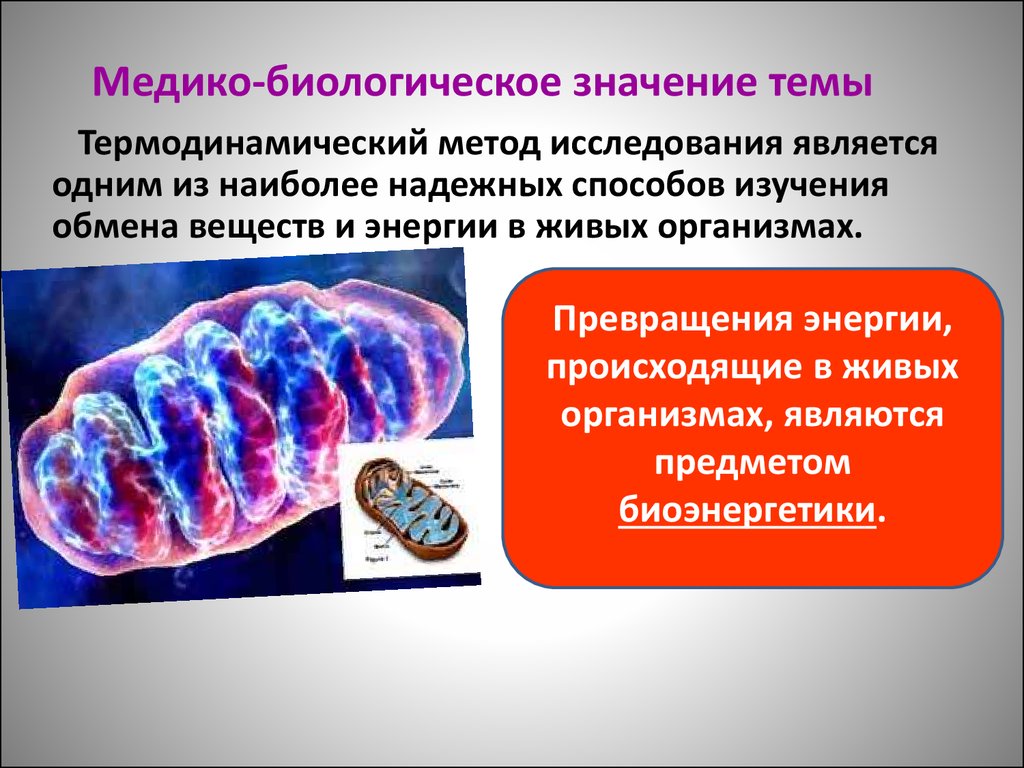 Значение биологических исследований. Медико-биологические исследования. Термодинамические методы исследования. Медико биологические методы. Методы исследования обмена веществ.