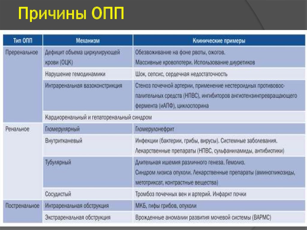 Причина 11. Причины ОПП. Острое почечное повреждение причины. Острое повреждение почек причины. Причины преренальной ОПП.