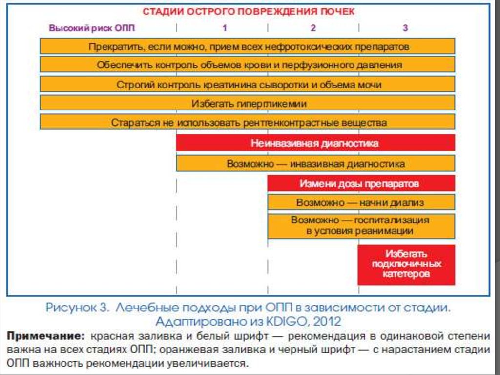 Риск повреждения. Стадии острого почечного повреждения KDIGO, 2012. Фактор риска острого повреждения почек. Критерии острого почечного повреждения KDIGO. Критерии острого повреждения почек (KDIGO-2012).