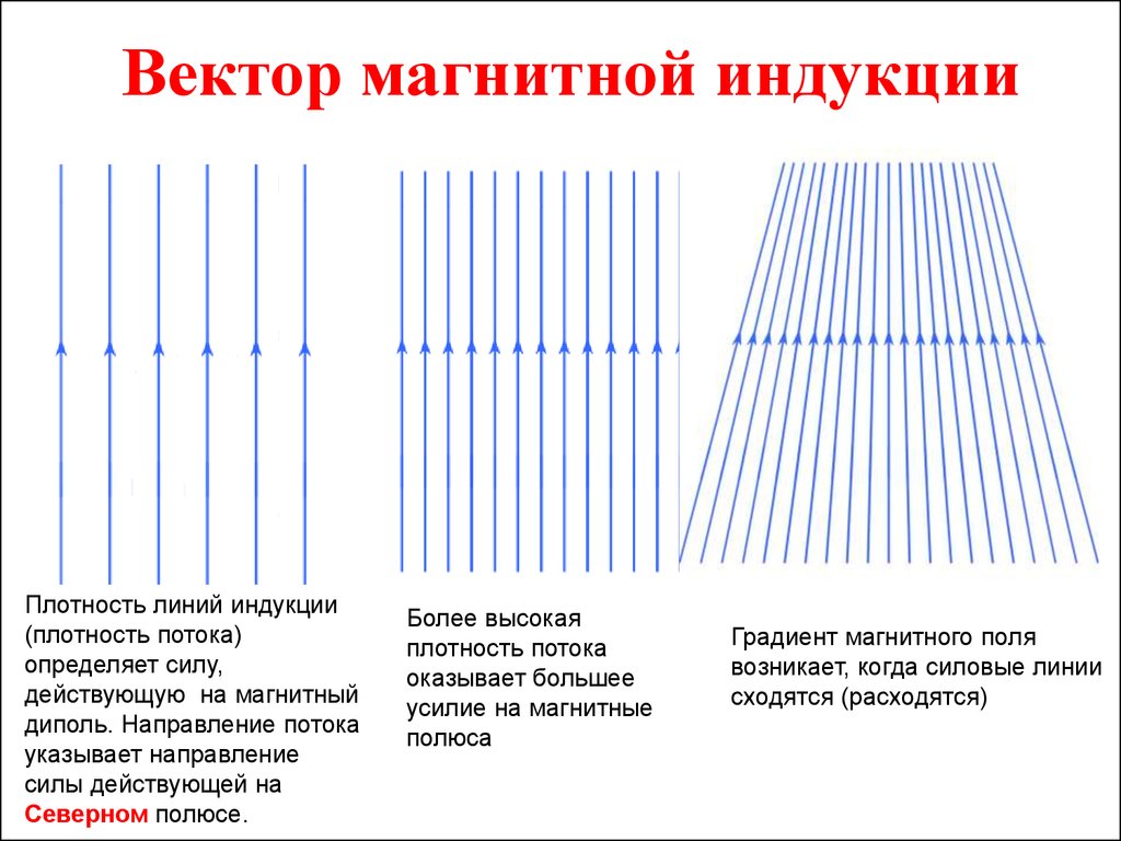 Какая линия совпадает с линией в полдень. Густота линий магнитной индукции. Плотность линии.