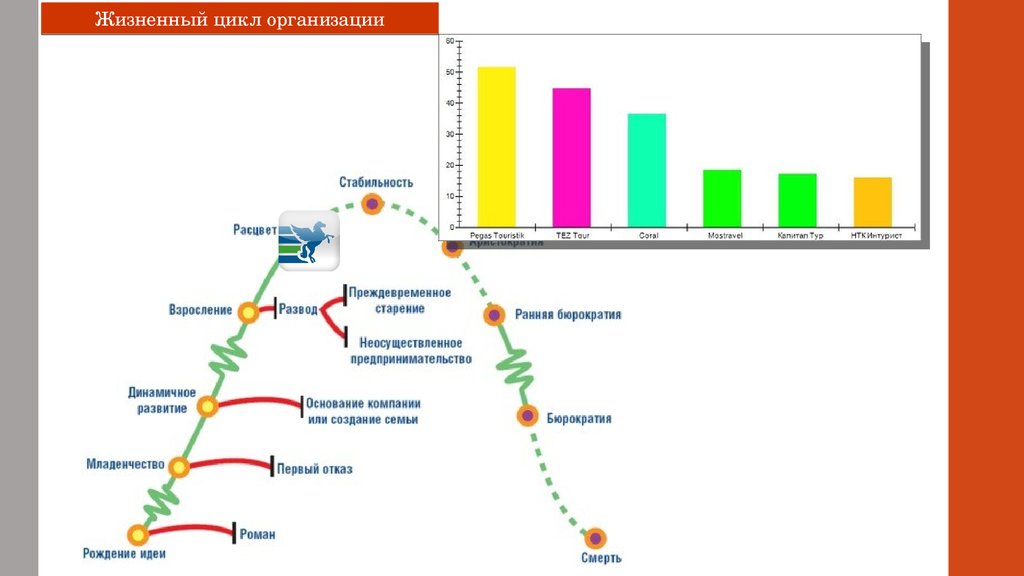 Компания циклом. Жизненный цикл компании Младенчество. Жизненный цикл туристической кампании.