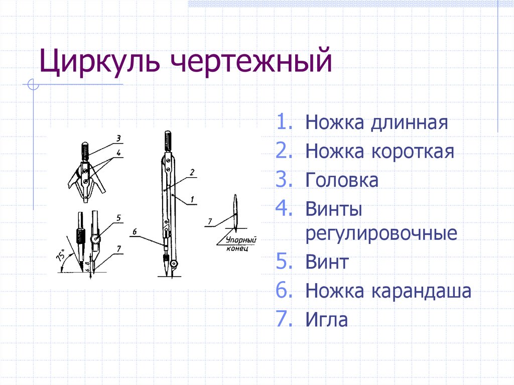 Чертеж циркуля