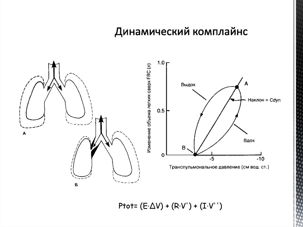 Динамический комплайнс