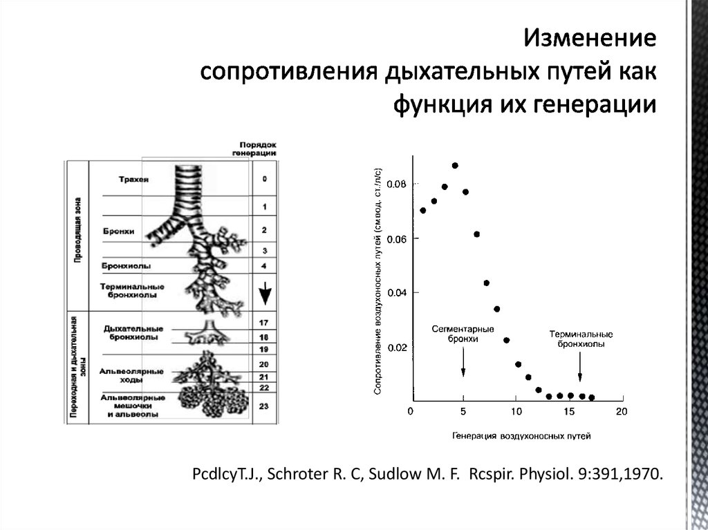 Изменение сопротивления дыхательных путей как функция их генерации