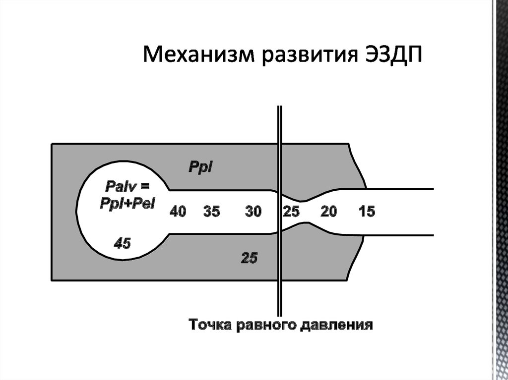Механизм развития ЭЗДП