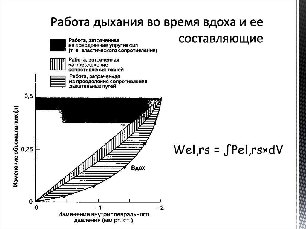 Работа дыхания во время вдоха и ее составляющие