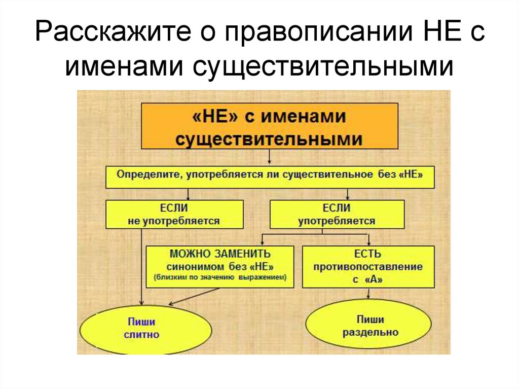 Не с существительными схема