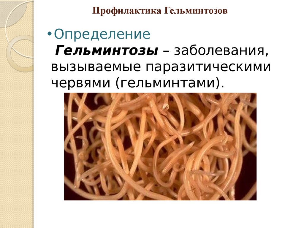 Для профилактики гельминтами необходимо. Профилактика гельминтозов. Памятка гельминтозы. Профилактика глистных инвазий. Профилактика глистных заболеваний человека.