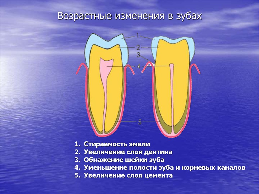 Проект кожа типирование уход возрастные изменения заболевания улучшение состояния 8 класс