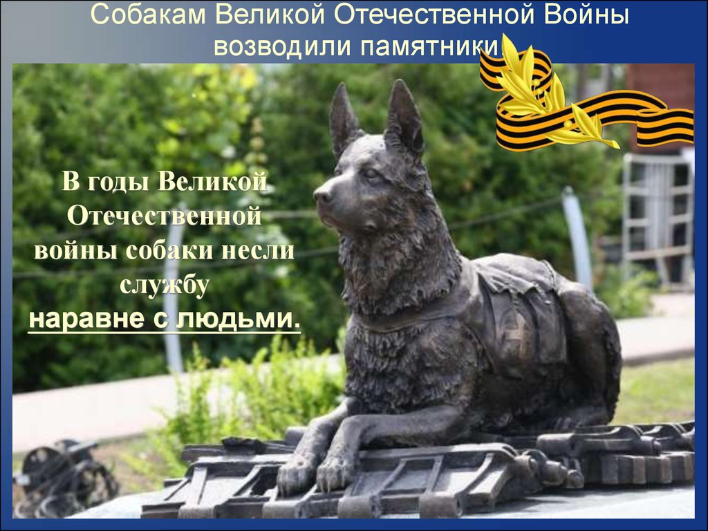 Собакам Великой Отечественной Войны возводили памятники.