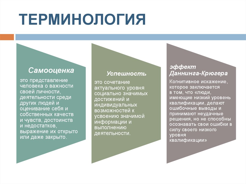 Изучение терминологии