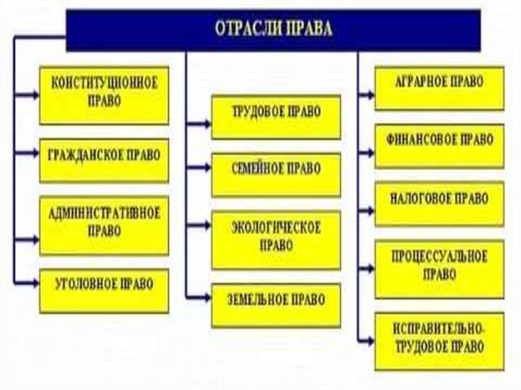 Основа отрасли. Отрасли права. Основные и производные отрасли права. Производные отрасли права. Базовые отрасли права схема.