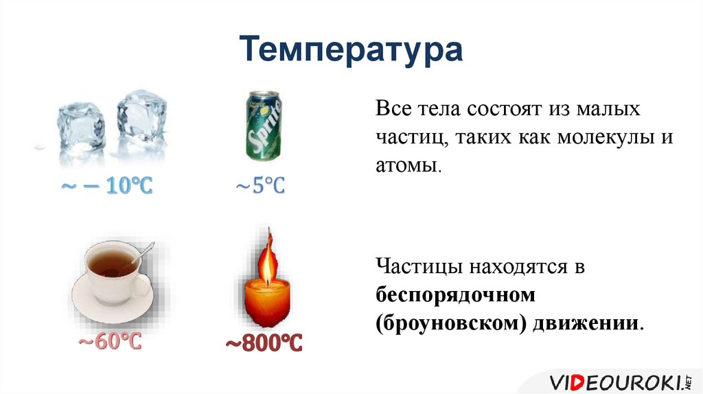 Все тела состоят из. Какие физические тела состоят из сахара. Из какого тела состоит Кружка. Бородино температура температура.