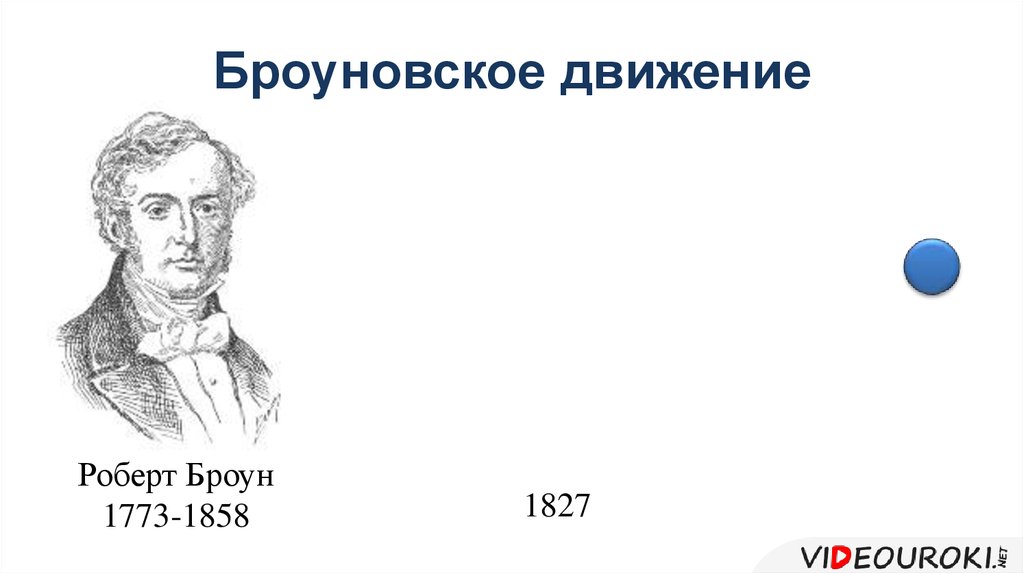 Броун броуновское движение