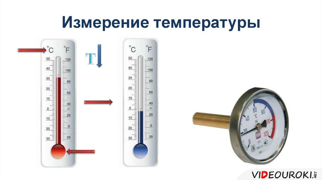 Измерение температуры тела картинки