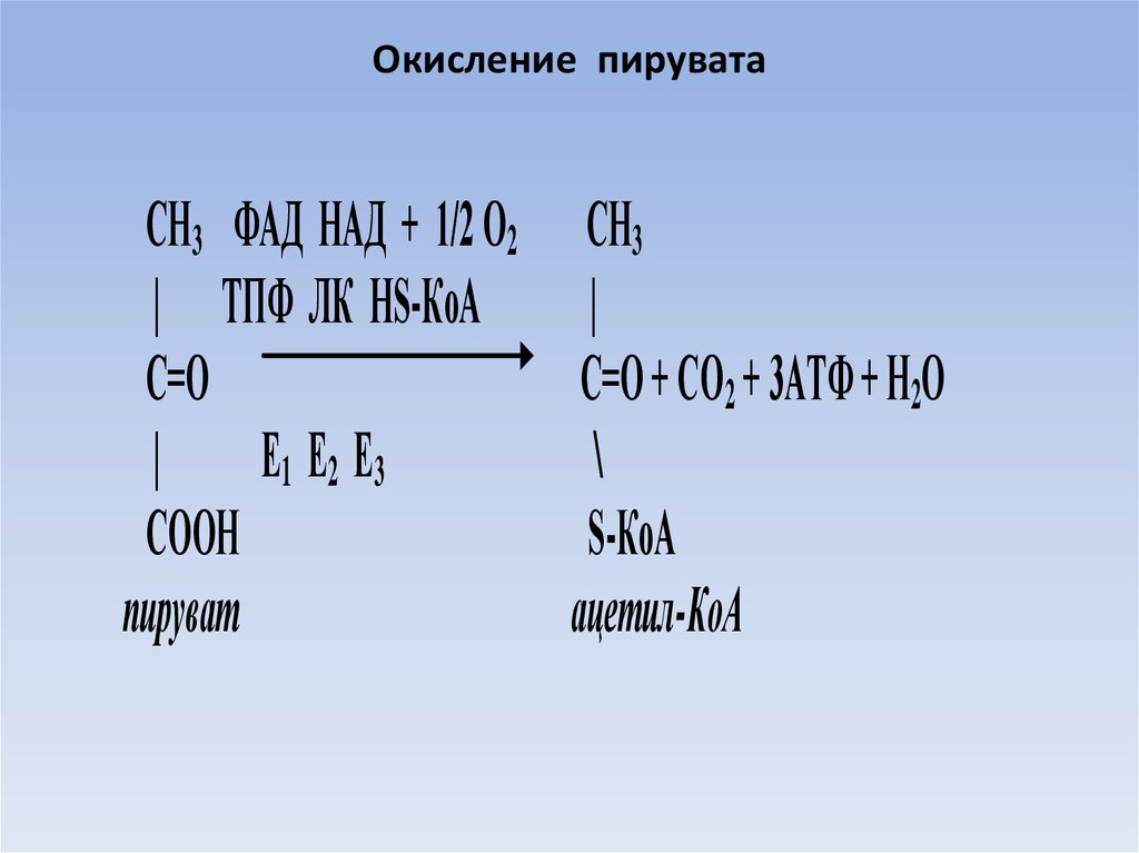 Полное окисление пировиноградной кислоты