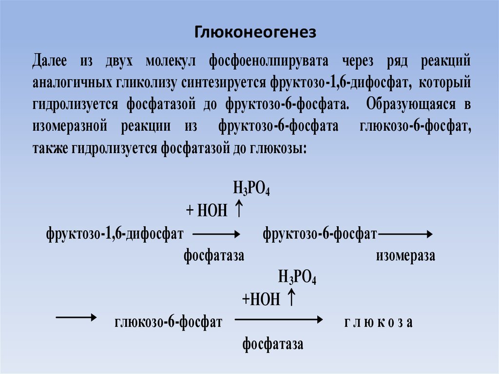 Процесс глюкоза. Синтез Глюкозы глюконеогенез. Необратимые реакции гликолиза и глюконеогенеза. В формулах реакции глюконеогенеза. Синтез ферментов глюконеогенеза.