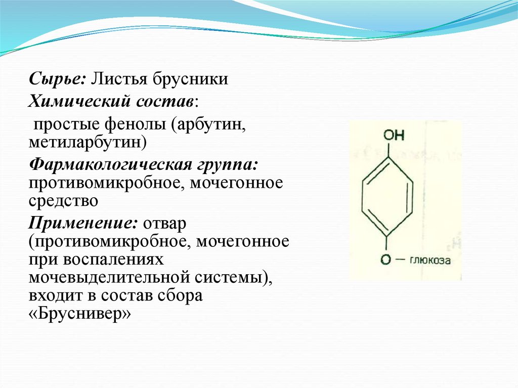 Химический состав простейших. Листья брусники химический состав. Простые фенолы. Растительное сырье содержащее простые фенолы. Химический состав листьев брусники.