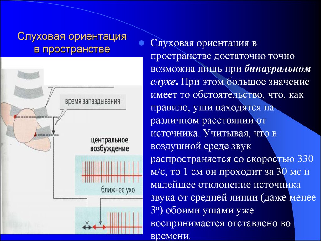 Бинауральный слух презентация