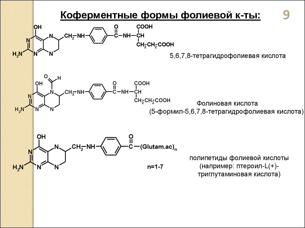Фолиевая кислота формула. Тетрагидрофолиевая кислота кофермент. 5 6 7 8 Тетрагидрофолиевая кислота. Коферментные формы витамина в9. Витамин в9 строение.