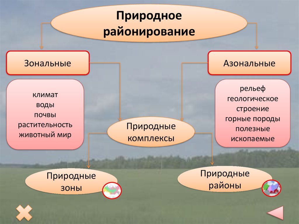 Составьте схему основные функции районирования