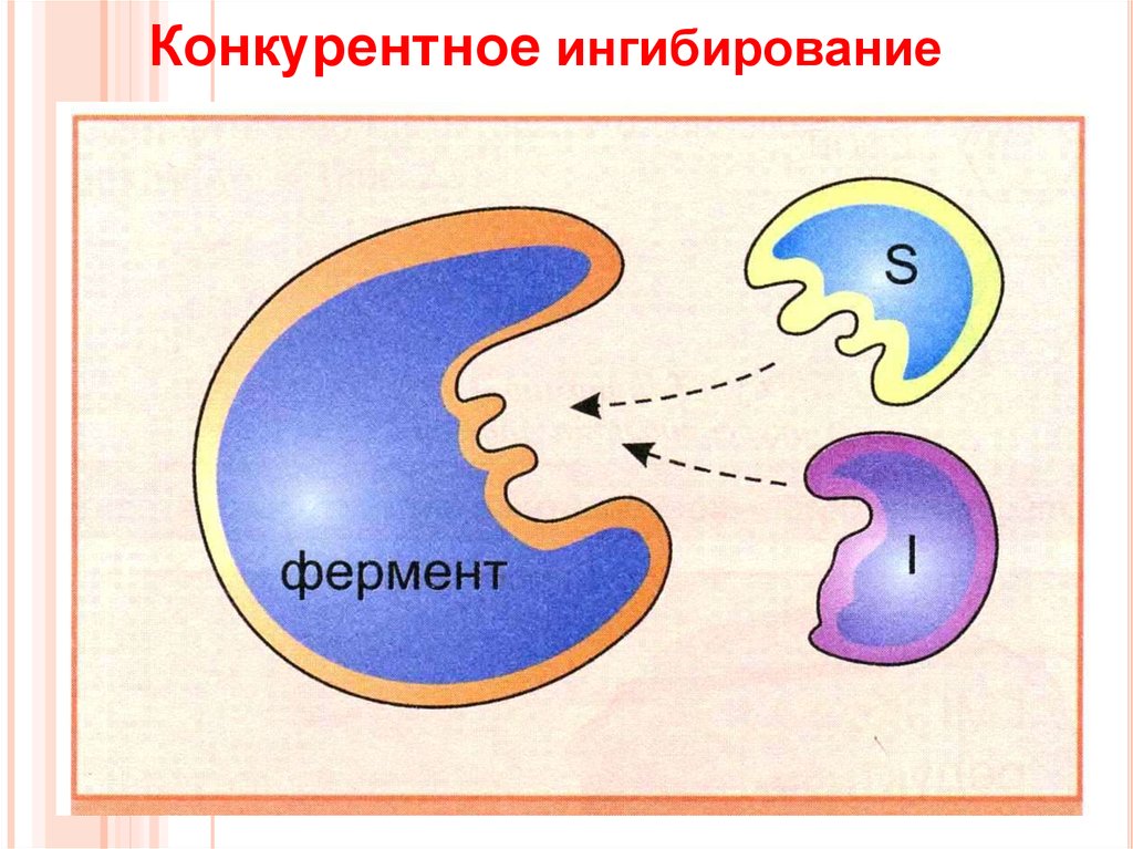 Схема конкурентного ингибирования