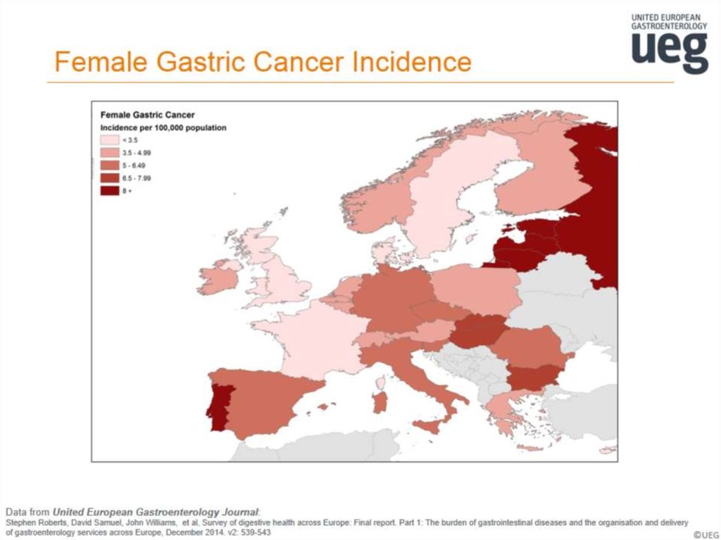 Female Gastric Cancer Incidence