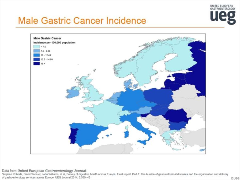 Male Gastric Cancer Incidence