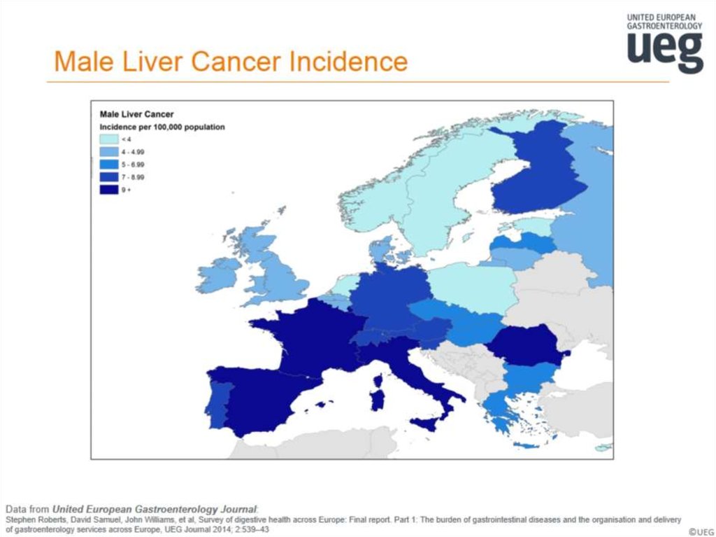 Male Liver Cancer Incidence