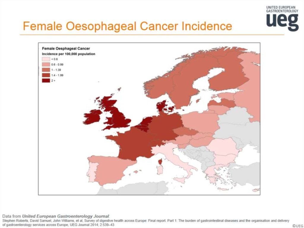 Female Oesophageal Cancer Incidence