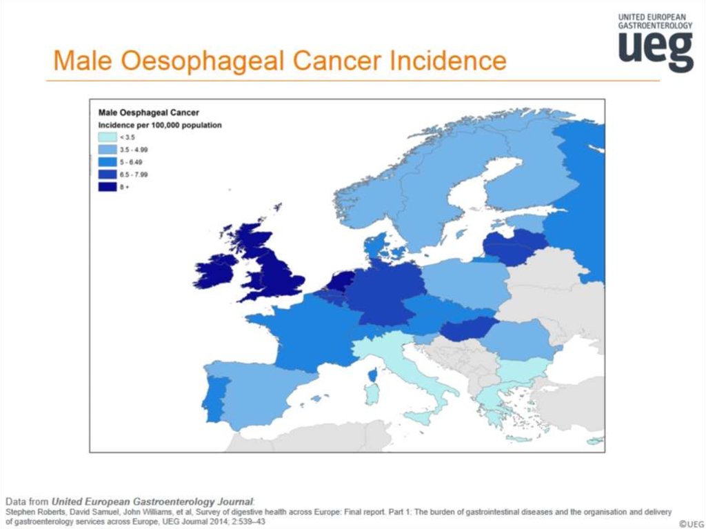 Male Oesophageal Cancer Incidence