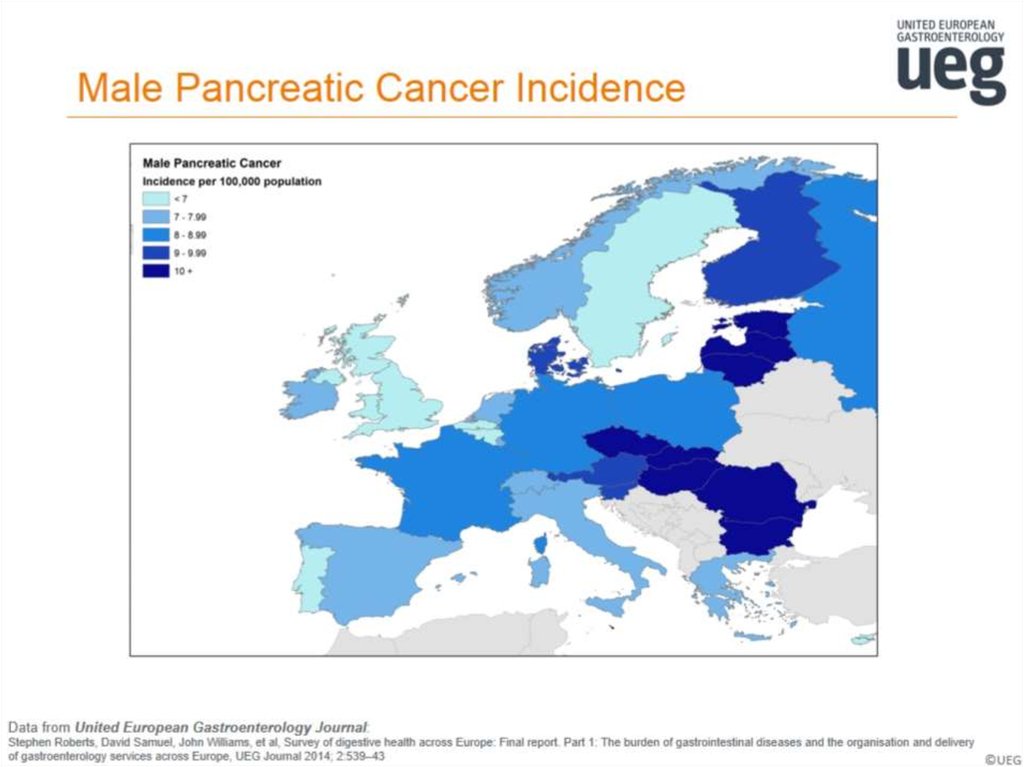 Male Pancreatic Cancer Incidence