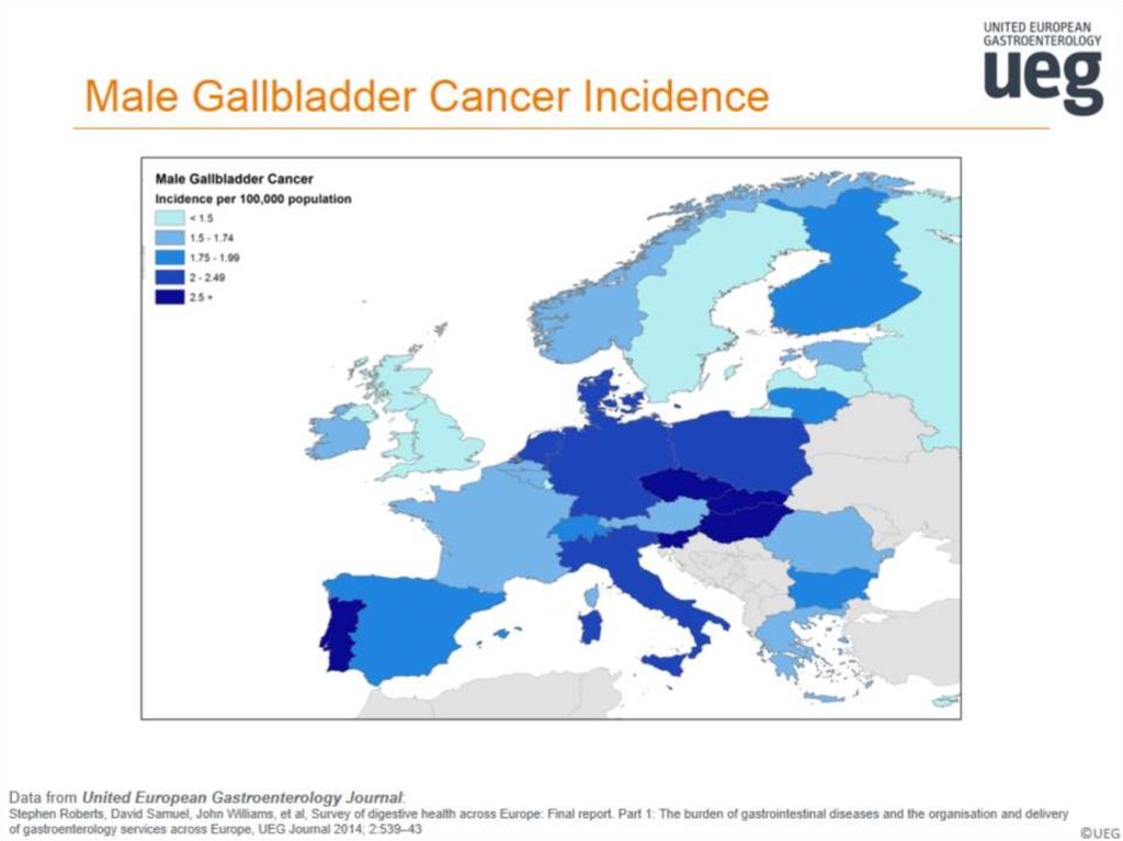 Male Gallbladder Cancer Incidence