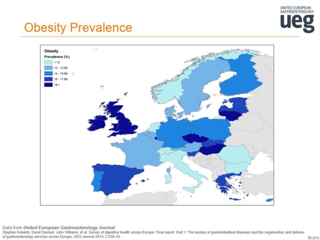 Obesity Prevalence