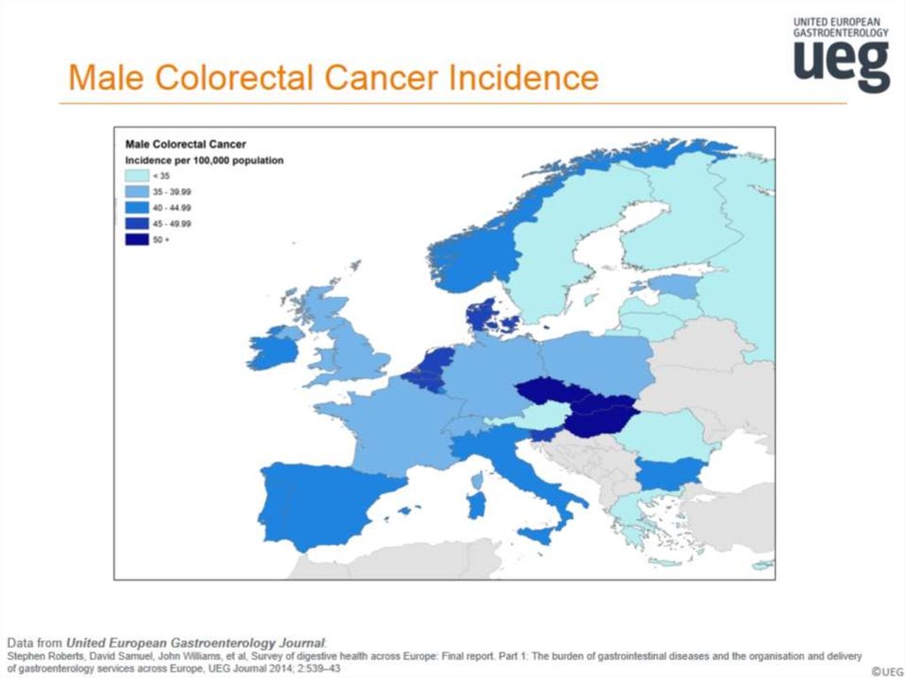 Male Colorectal Cancer Incidence