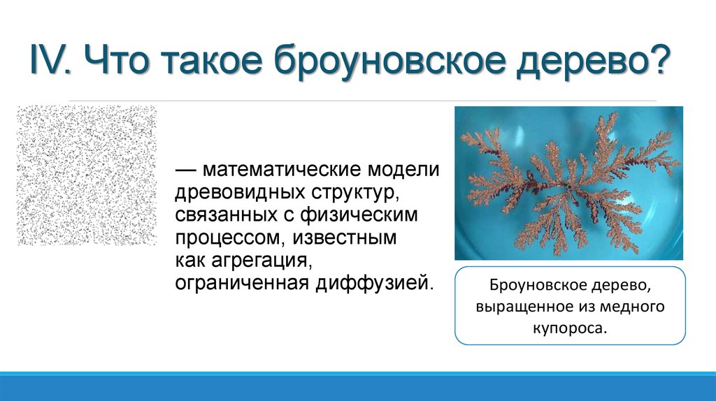 IV. Что такое броуновское дерево?