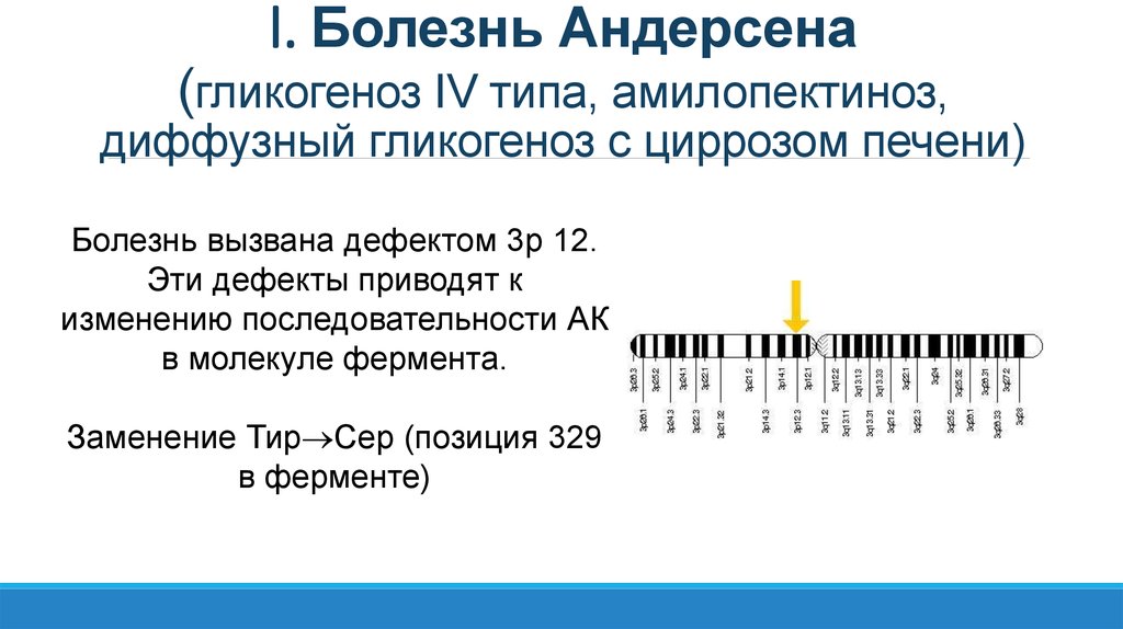 Iv типа. Болезнь Андерсена(гликогеноз 4 типа). Болезнь Андерсена гликогеноз. Болезнь Андерсена биохимия. Гликогеноз 4 типа биохимия.