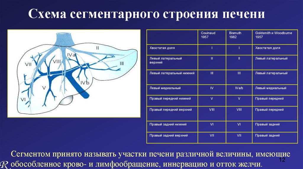 Схема сегментов печени