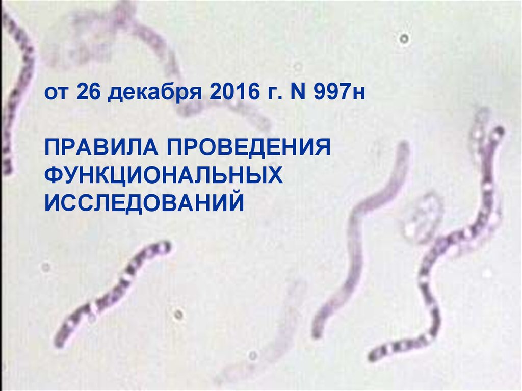 Правила проведения функциональных исследований. Правила проведения функциональных исследований