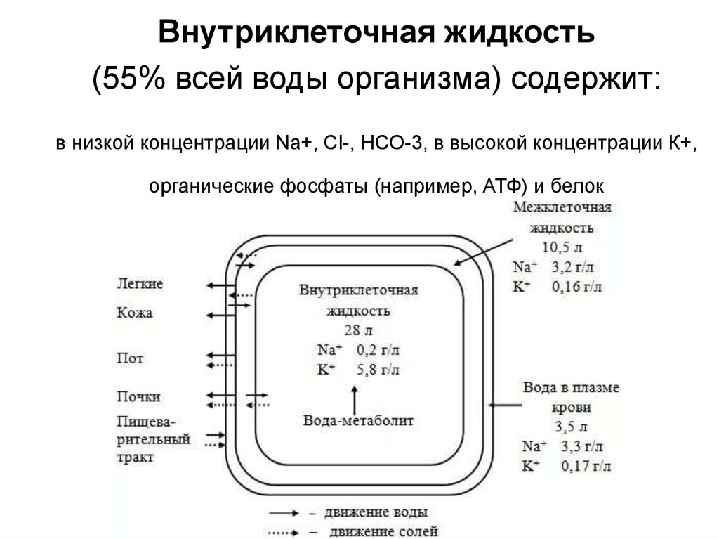 Деф мун карта