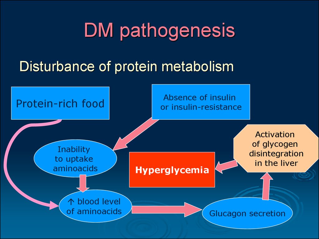 protein metabolism in type 2 diabetes