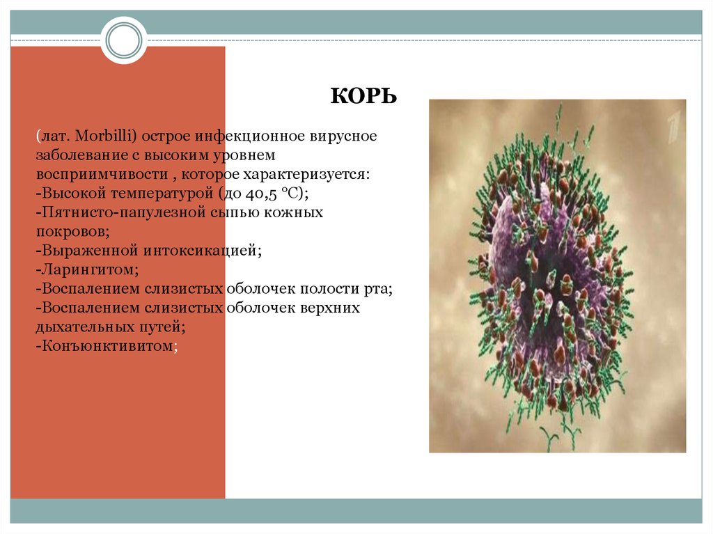 Корь презентация по микробиологии