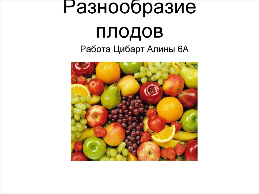 Презентация разнообразие плодов 6 класс