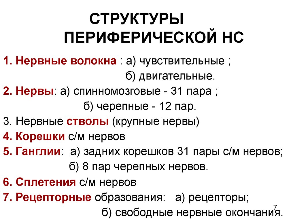 Периферическая нервная система презентация