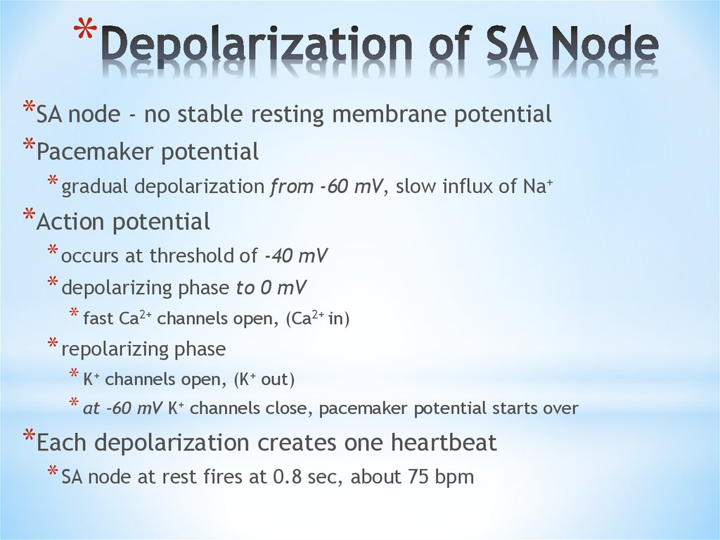 Depolarization of SA Node