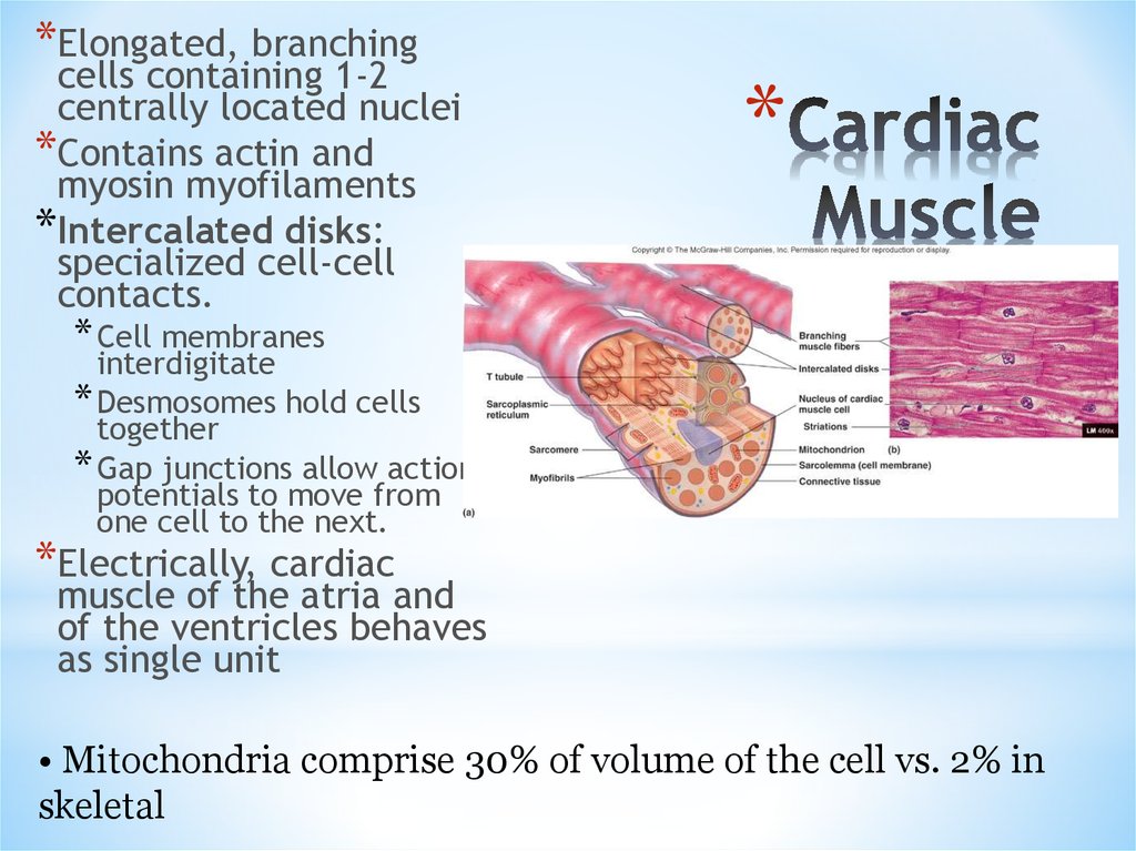 Physiology of the Heart - online presentation